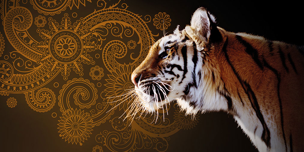 Immagine di prodotto India Pale Ale